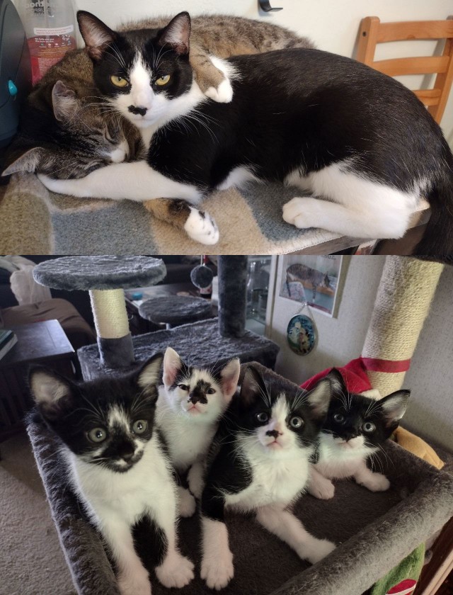 Деревенская Америка - 9
