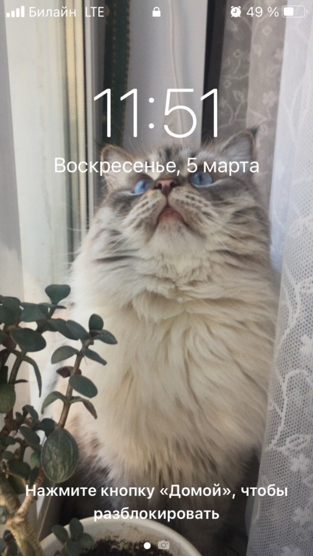 У кого какие обои на телефоне