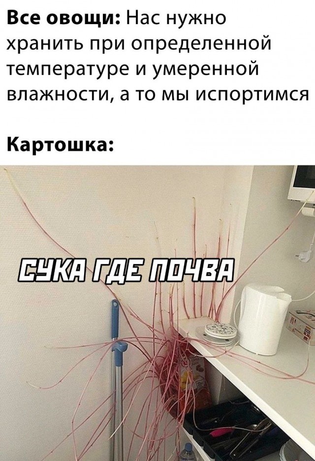 Весёлый полтишок 12.03.23