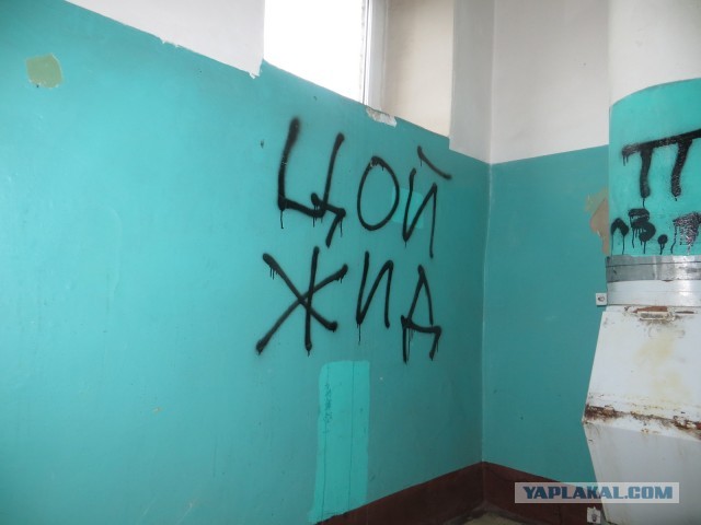 ХВ! ВВ!