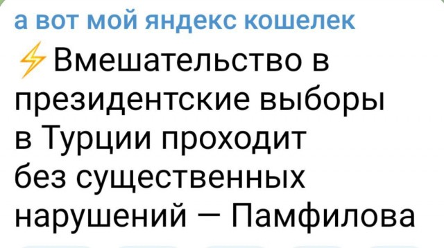 Выборы в Турции