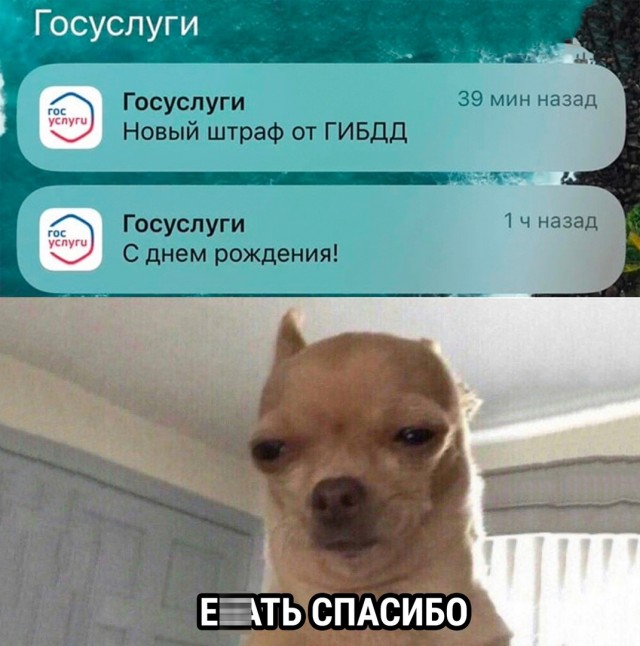 Весёлый полтишок 20.09.23
