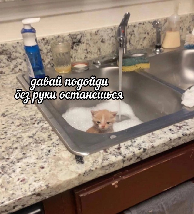 Всего понемногу. От 05.10.23