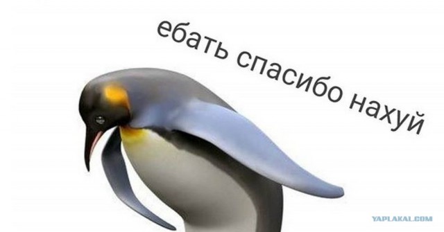 Лиса - это хищное млекопитающее, которое относится к семейству псовых или собачьих
