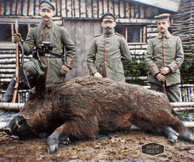 Первая мировая война на фото