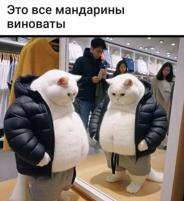 Отряд быстрого деградирования