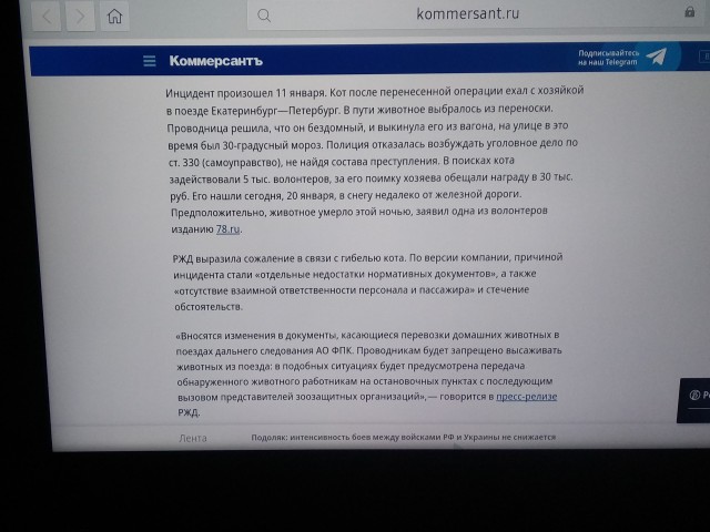 Проводница разлучила хозяина с котом