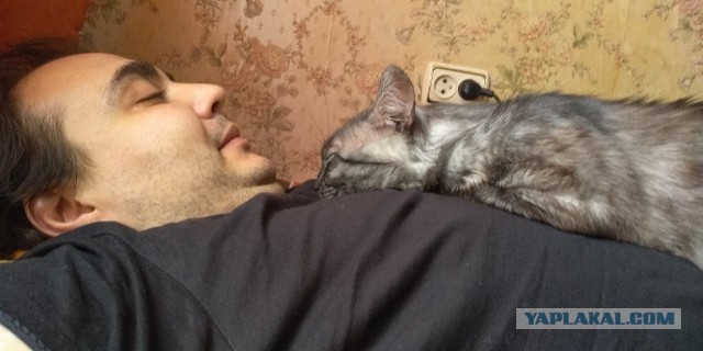 Прекрасное