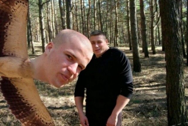 Вы что там, угораете? В какую дурку? ©