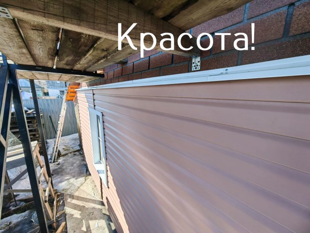Жизнь домашнего приюта "Котоленд" 431
