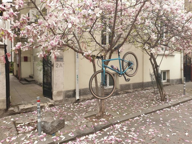ФотоВинегрет