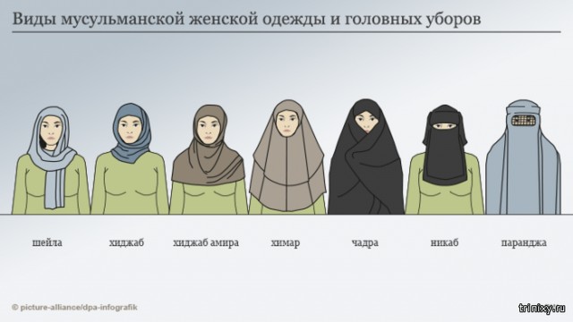 Как государство одобрило ношение никабов