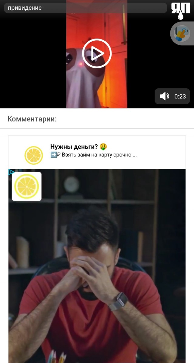 Сейчас вы увидите лучшее в мире привидение. Дикое, но очень симпатичное.