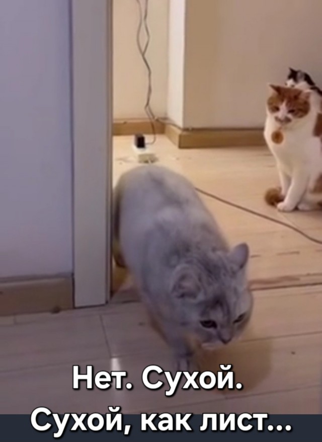 Когда пришел под утро после корпоратива