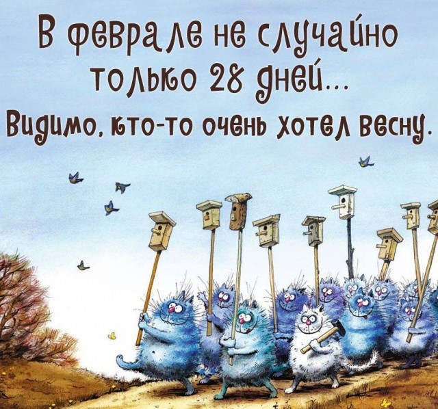Жизнь домашнего приюта для котеек 533