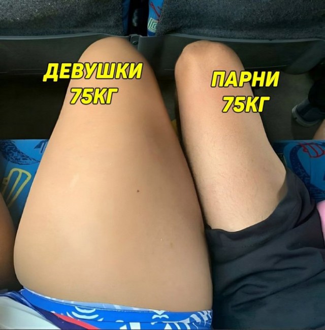 Веселые картинки в пятницу (11.04)