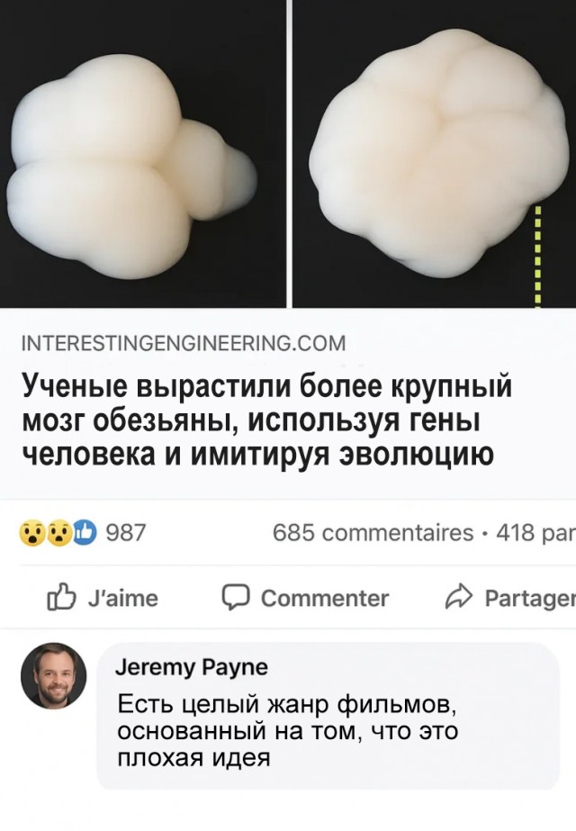 Планета обезьян