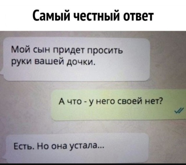 Смешные картинки с надписями и планы на лето 2025
