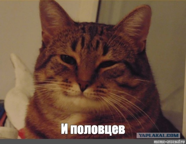 Я так и знал, что во всём виноваты Печенеги