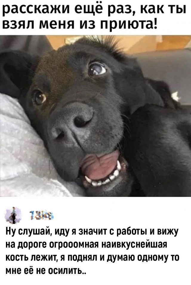 Воскресные картинки