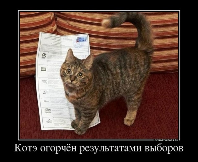 Склад баянов