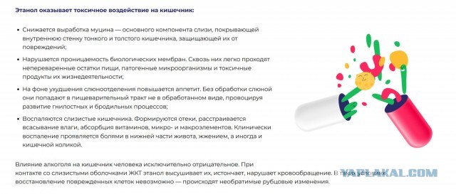 Совет от гастроэнтеролога