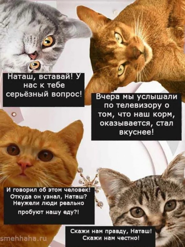 Найди себе уже мужика, Наташа!