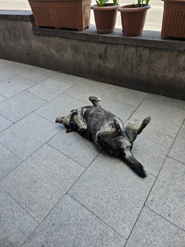 Легкость бытия