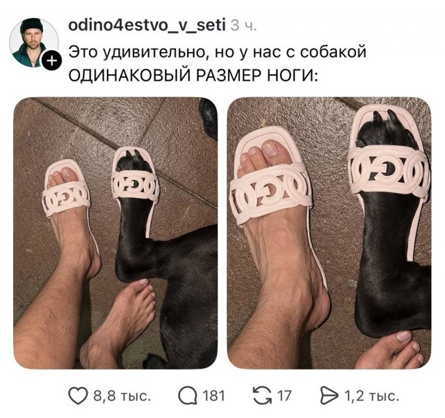 Так себе картинки 29.09.26