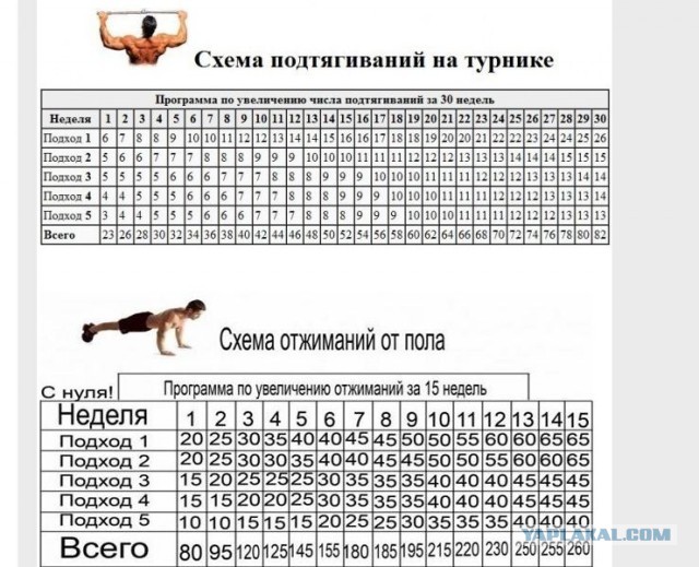 Ментальность фокуса зашкаливает