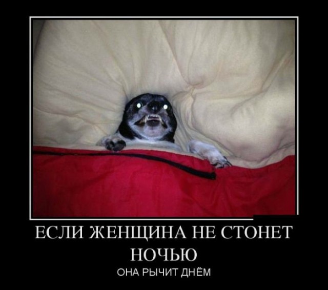 Беспредел за рулем. Хамка на дороге