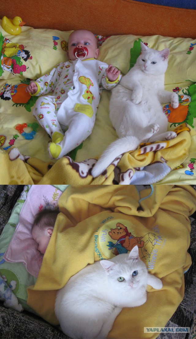 Кошка и котё... ребёнок