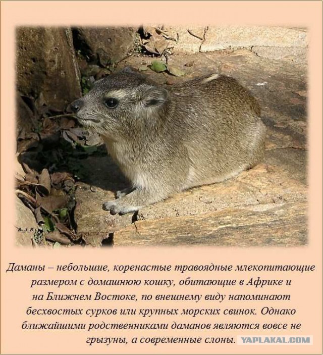 20 фактов обо всем