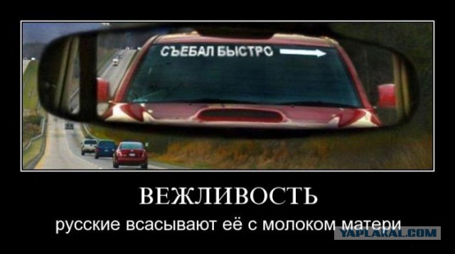 Забавные картинки из интернетов