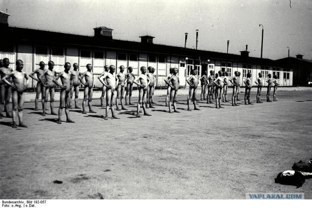 Фотографии второй мировой, многие цветные (фото)