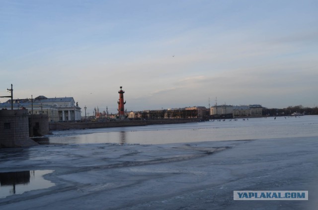 Самые злачные места египетского курорта