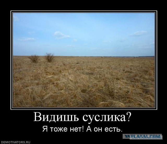Украинский телеканал снял к 9 Мая ролик по