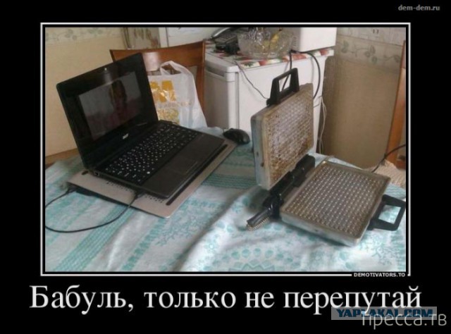 Картинки из инета