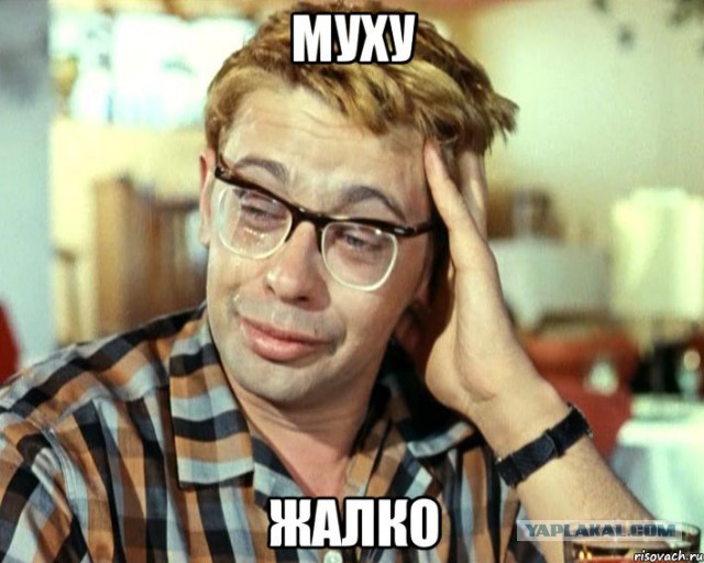 Я убила муху