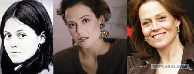 Вечно молодой, вечно пьяный