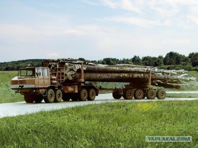 Игра на ЯПе: Угадай АВТО-9