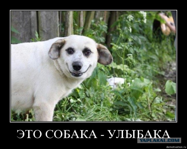 Этот парень реально доволен жизнью