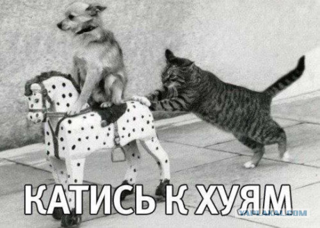 Электронная сигарета - вред или польза?