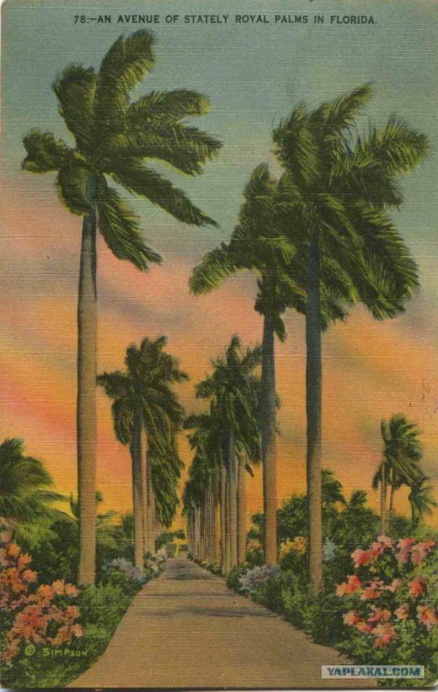 Американские открытки 1940-х годов