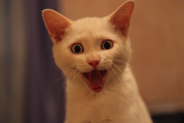 Подборка интересных и смешных картинок