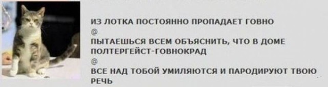 Ударная доза тупежа на начало недели