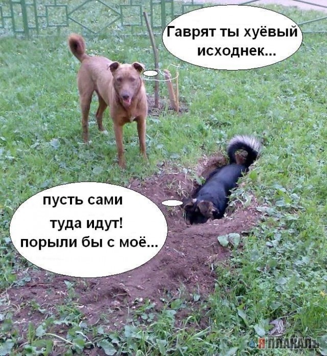 Фотожаба: да здесь где-то недалеко!