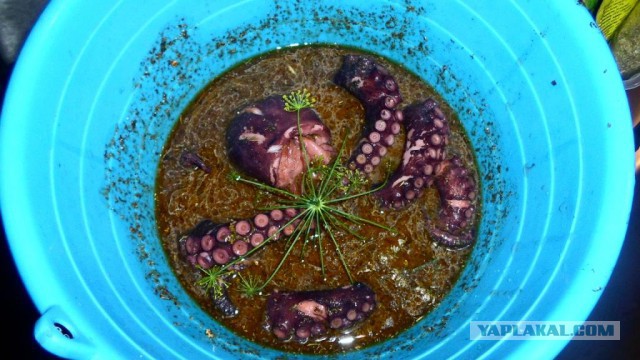 Аццкая кухня 2  (кулинарный адъ)