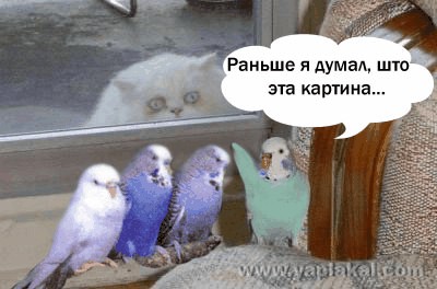 Барсик и Кеша (жесть)