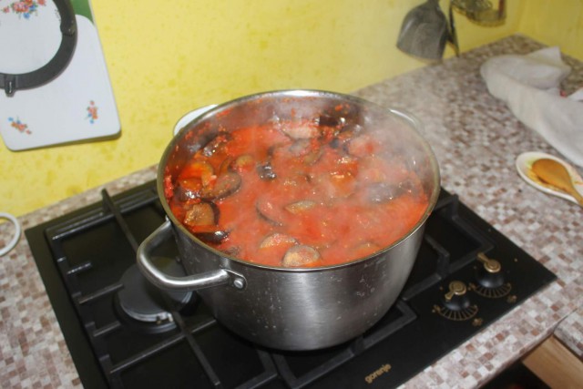 Строю дом сам и для себя (М.О.)